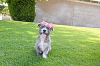 Momma gray - Photo 3