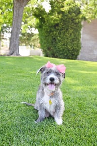 Momma gray - Photo 4