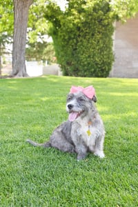 Momma gray - Photo 5