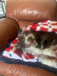 Bilbo Baggins - Photo 5