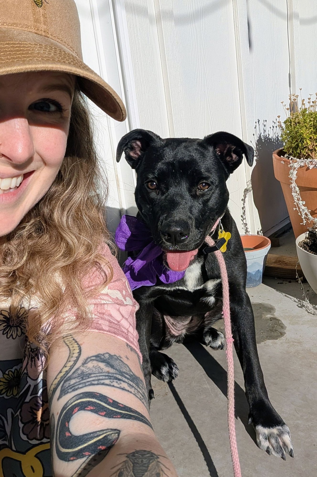 Fritillaria - Photo 5