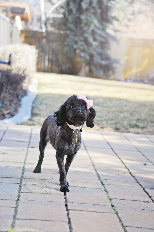 Minnie Rose - Photo 4