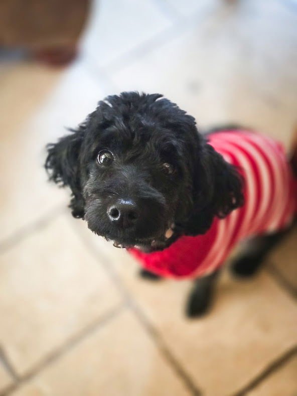 Minnie Rose - Photo 7