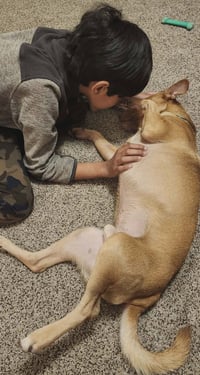 Fortune Cookie - Photo 3