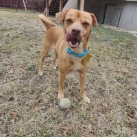 Fortune Cookie - Photo 5