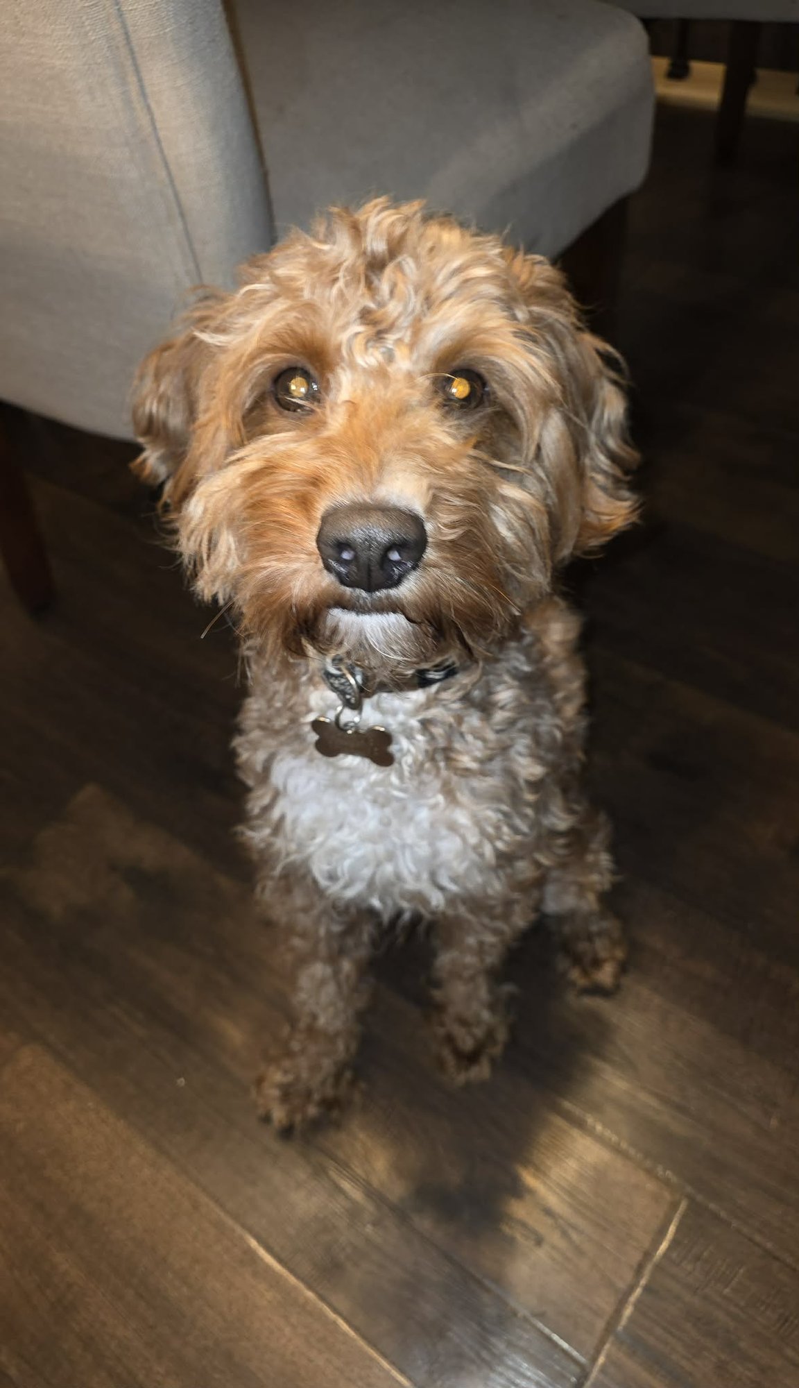 Charlie Bean - Photo 3