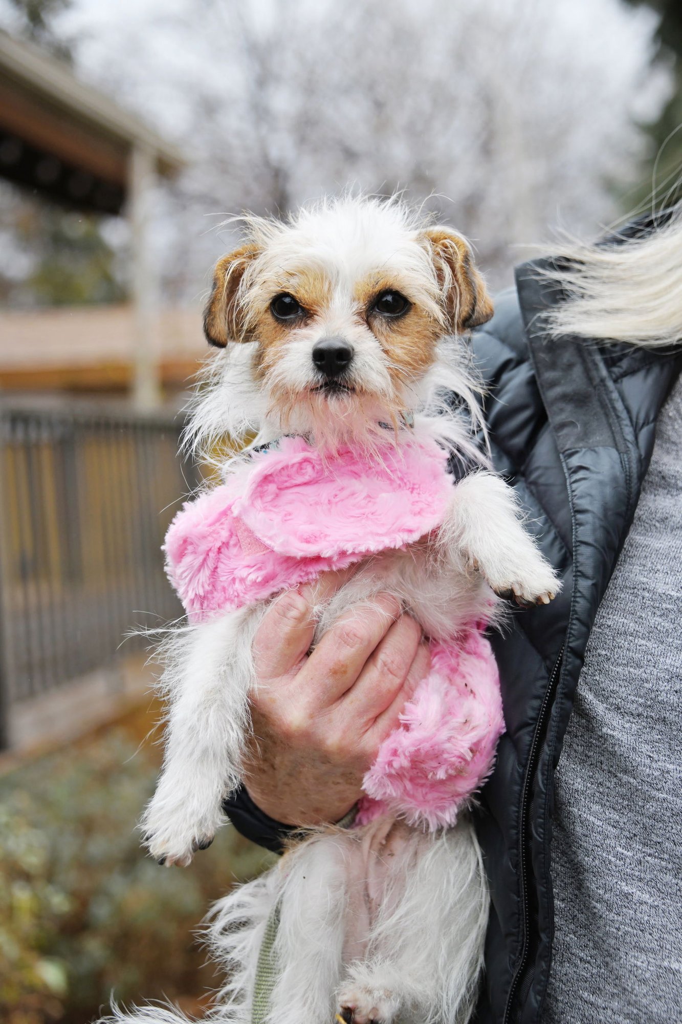 Stelle Baby - Photo 3