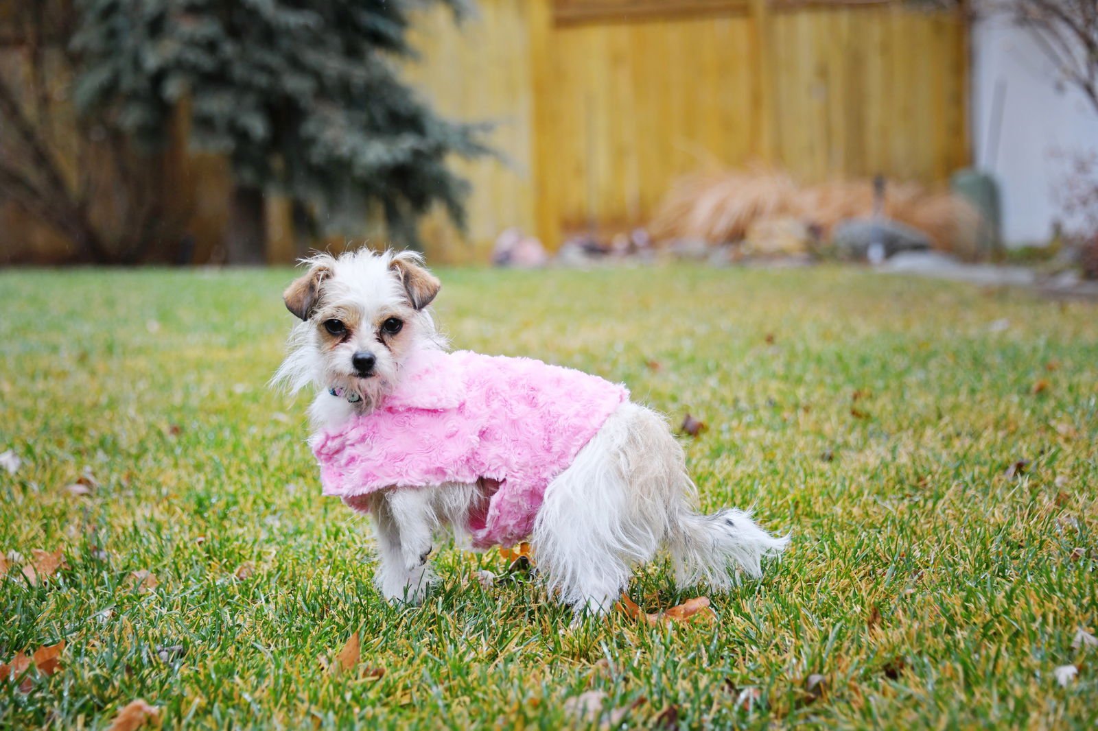 Stelle Baby - Photo 6