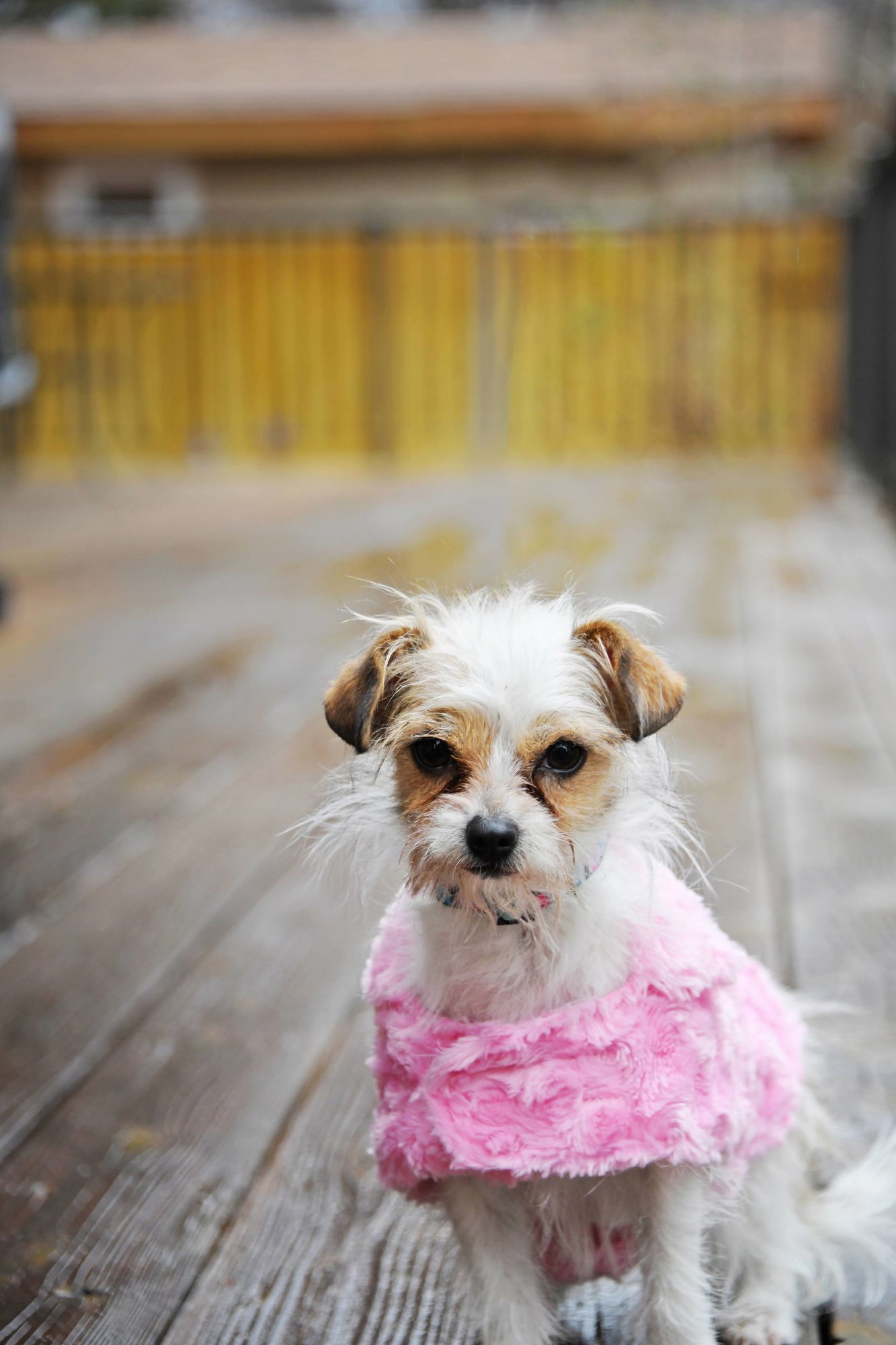 Stelle Baby - Photo 8