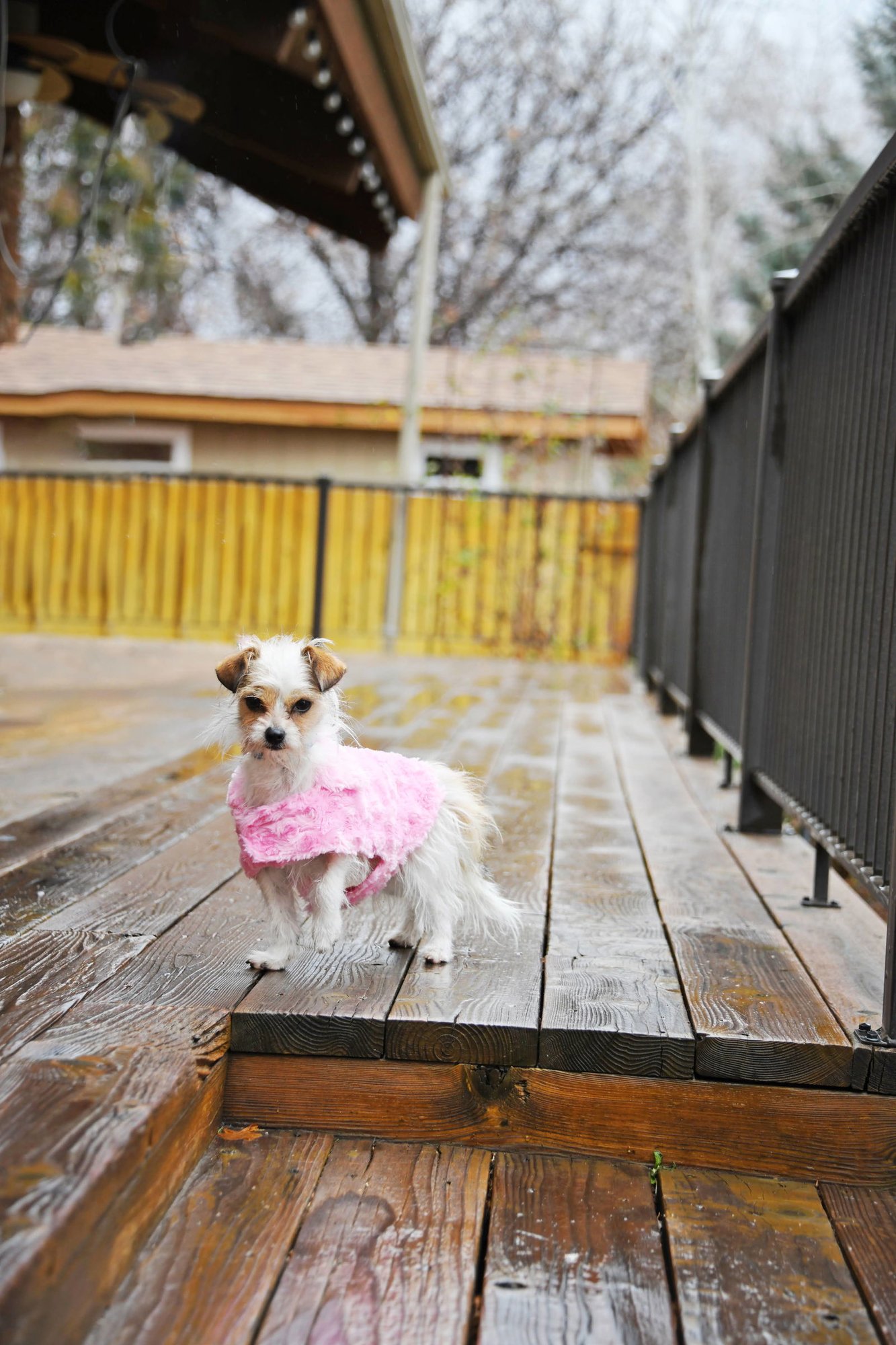 Stelle Baby - Photo 9