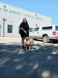 Duncan Doggie - Photo 10