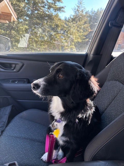 Eddie Money - Photo 3