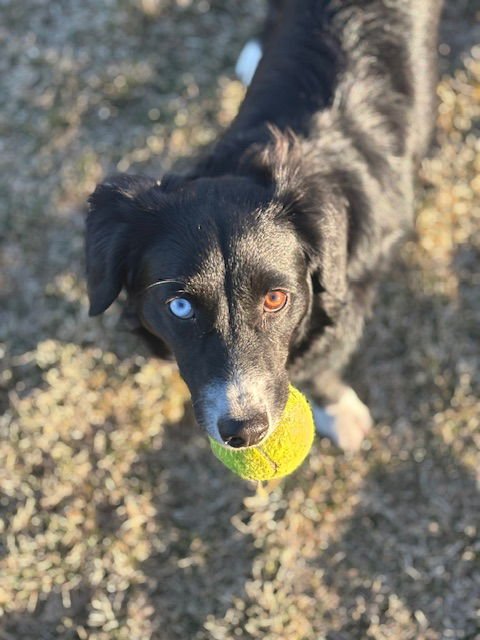 Eddie Money - Photo 4