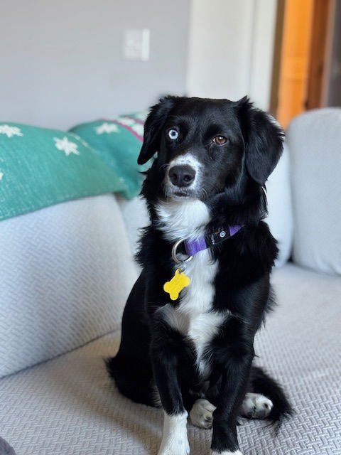 Eddie Money - Photo 5