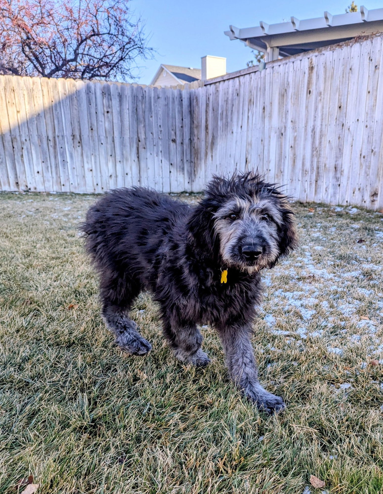 Sammy Bear - Photo 11