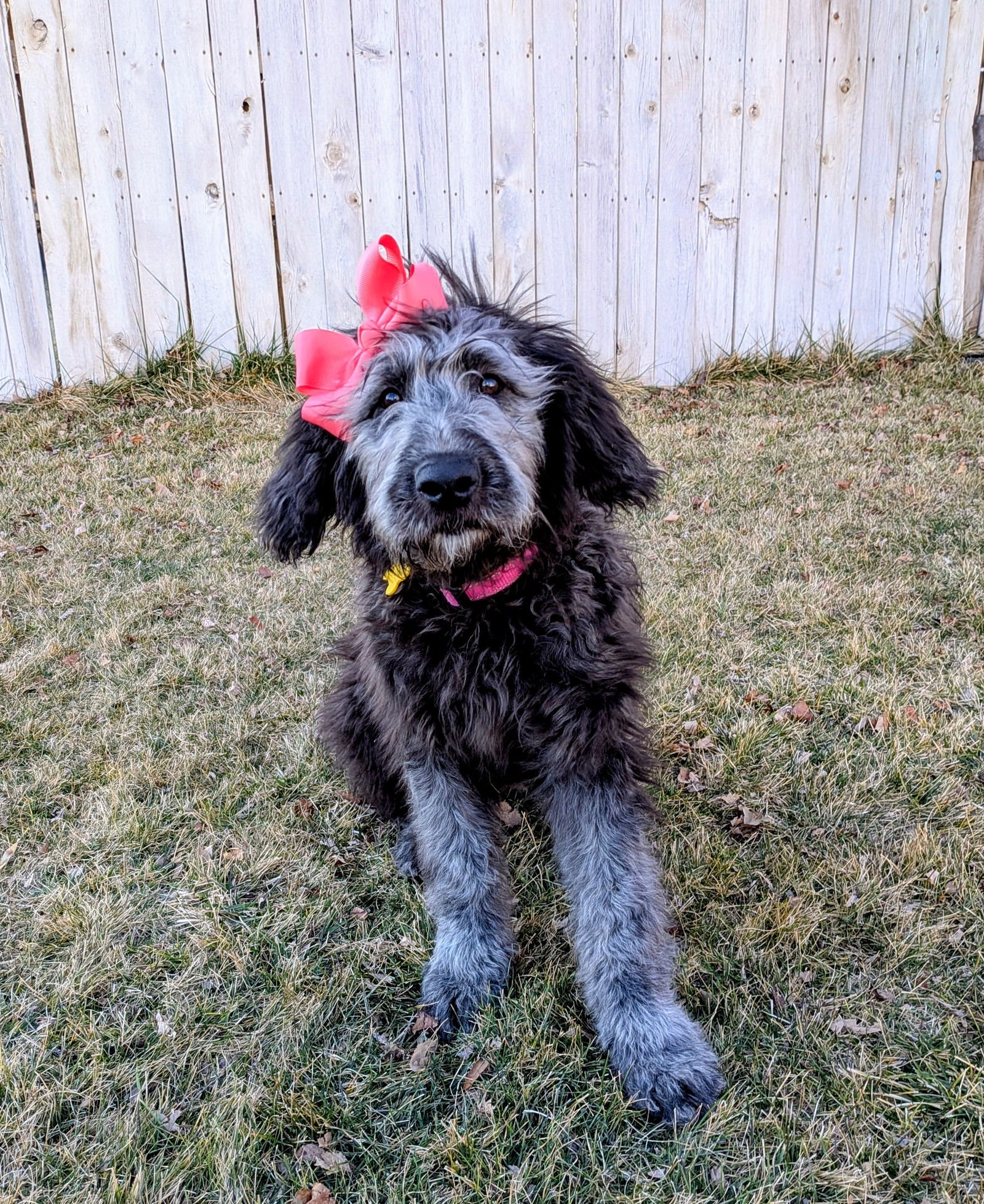 Sammy Bear - Photo 12