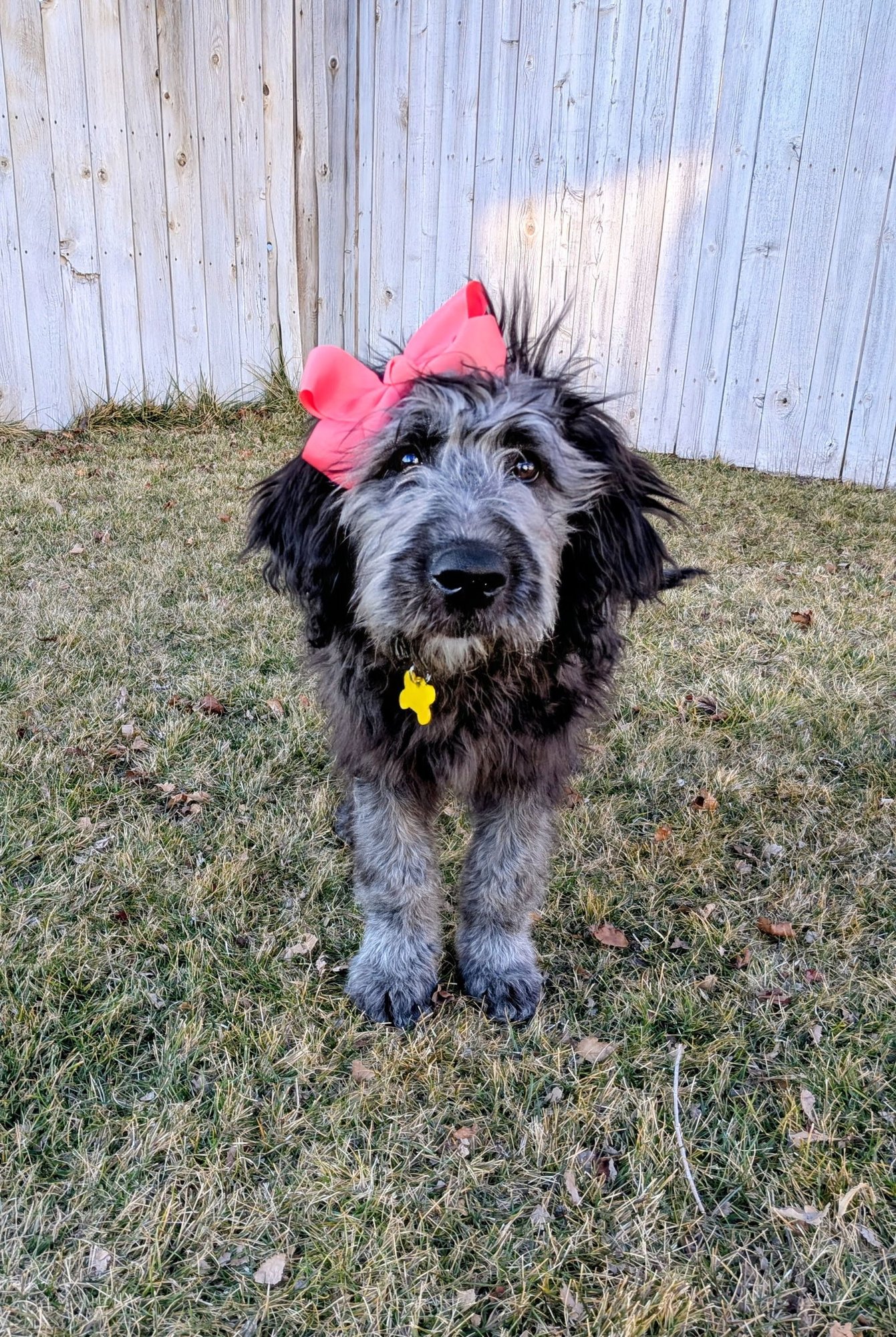 Sammy Bear - Photo 3