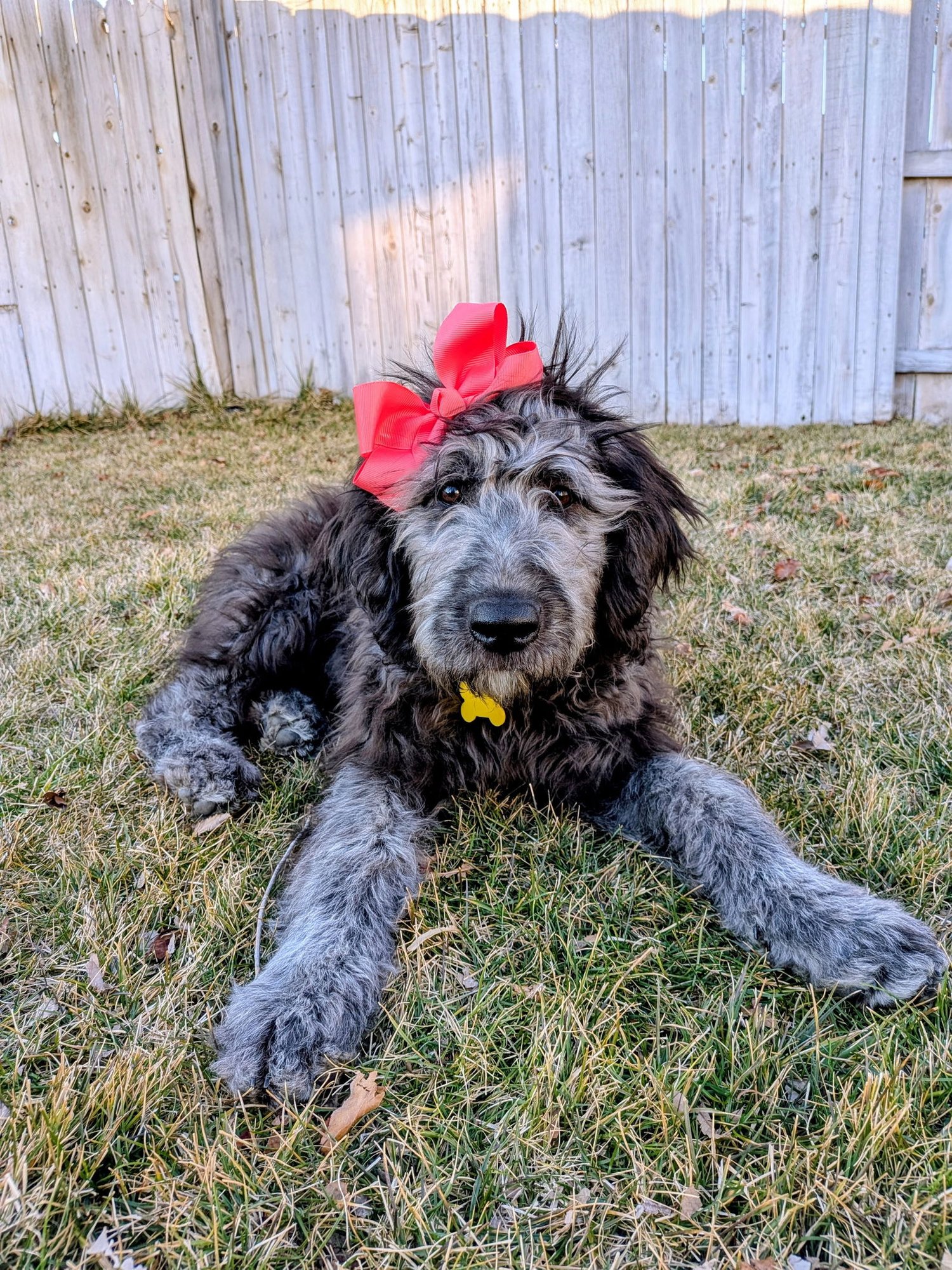 Sammy Bear - Photo 5