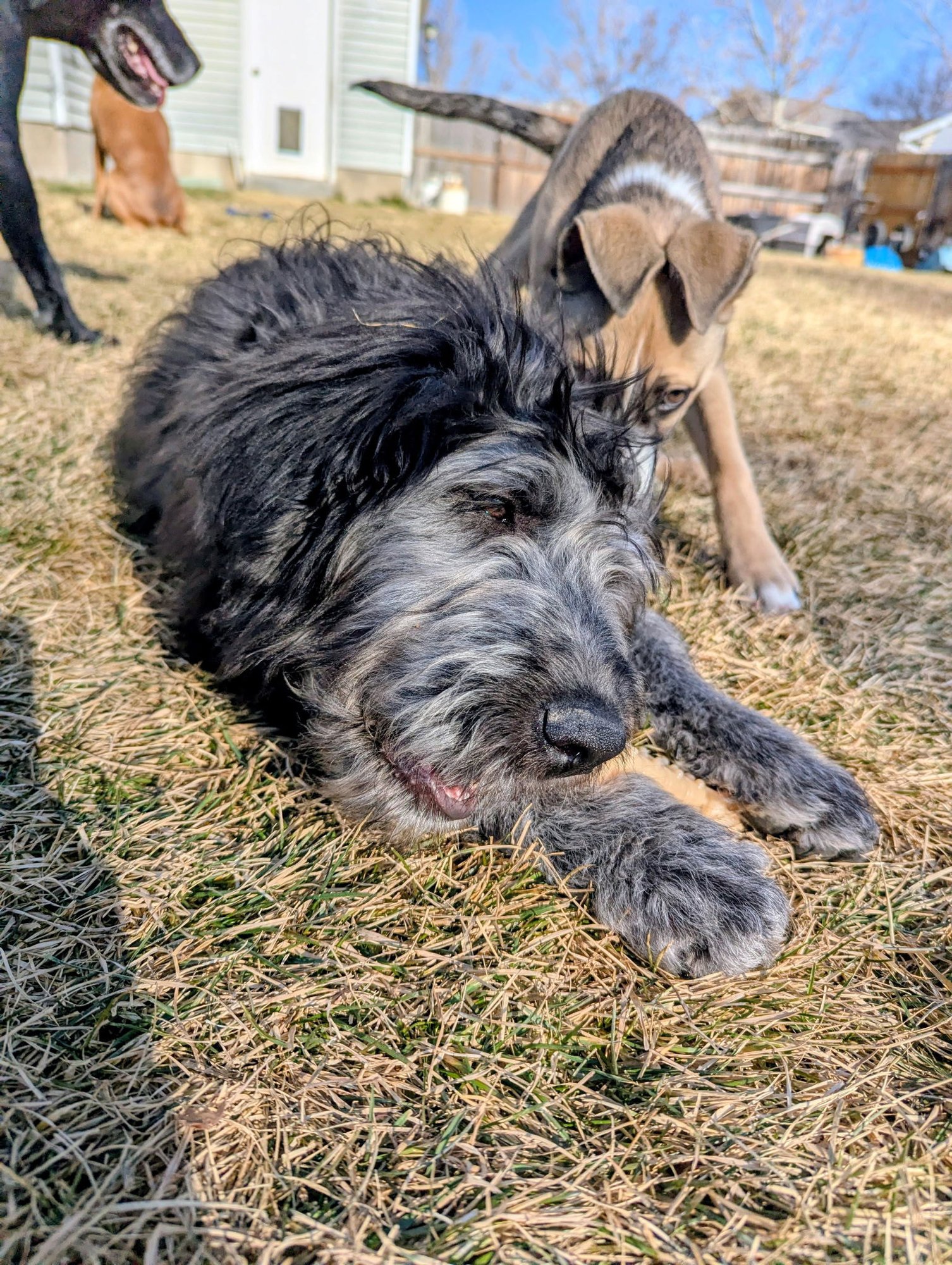 Sammy Bear - Photo 10