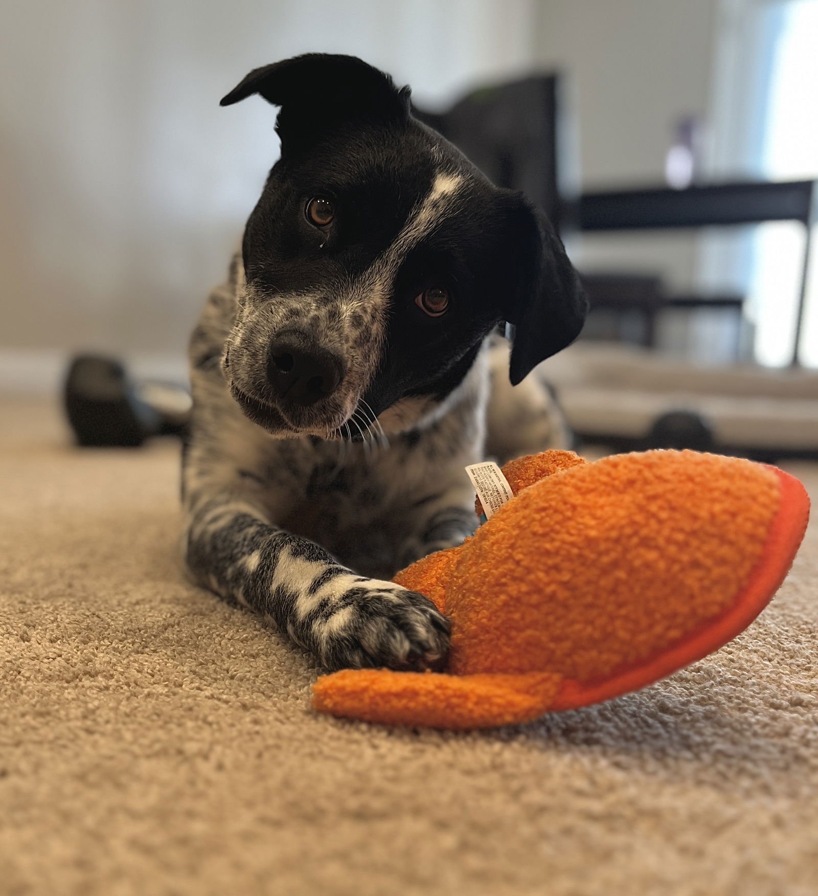 Arabella Skye - Photo 3