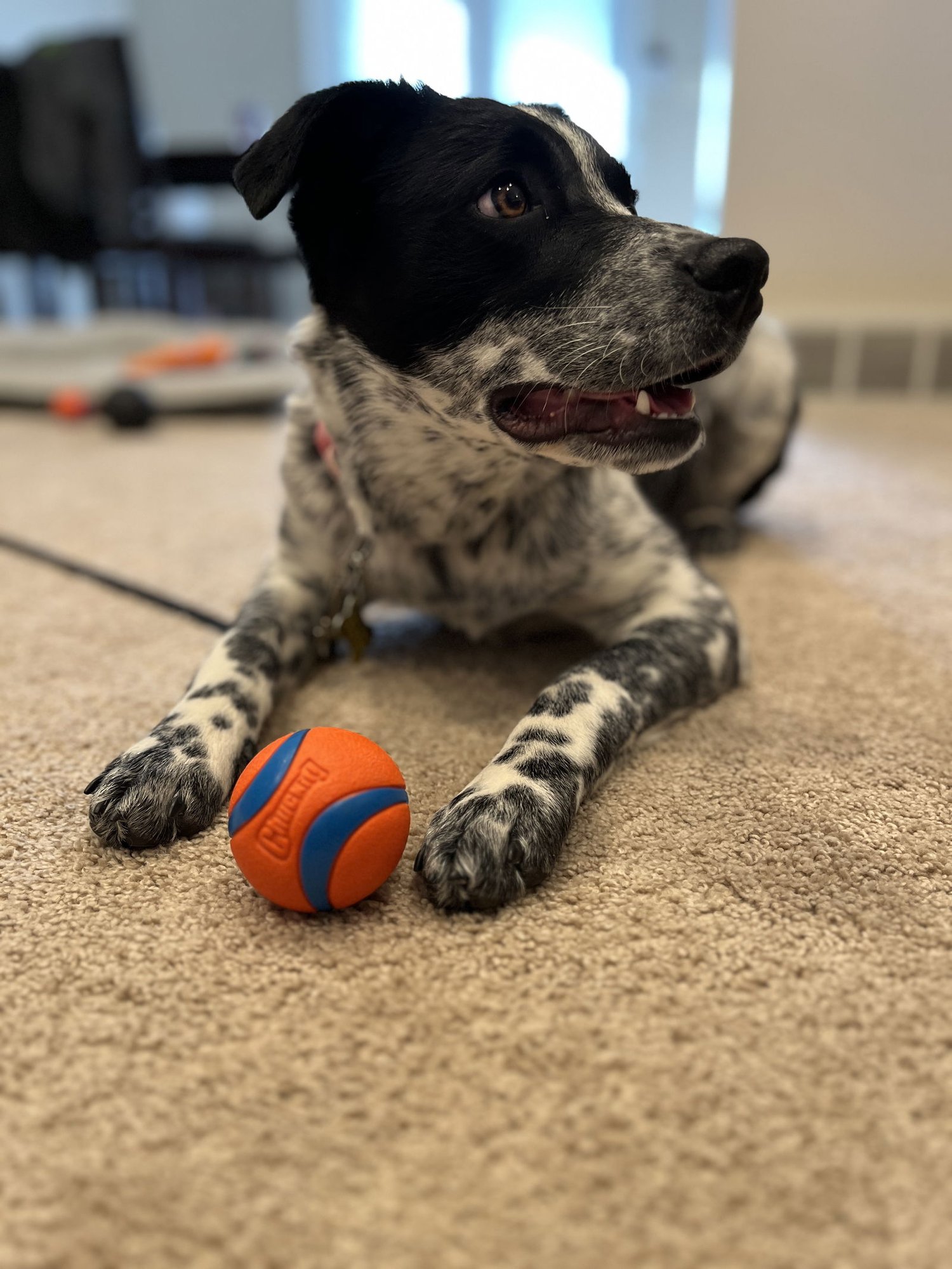 Arabella Skye - Photo 4