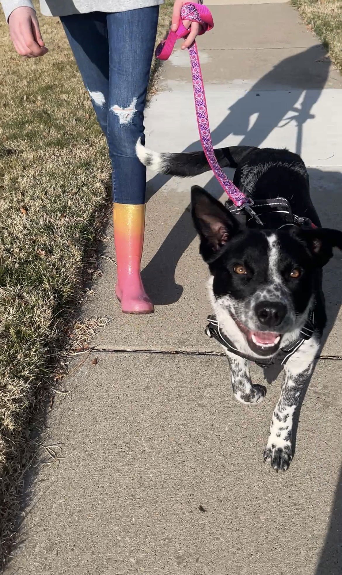 Arabella Skye - Photo 5