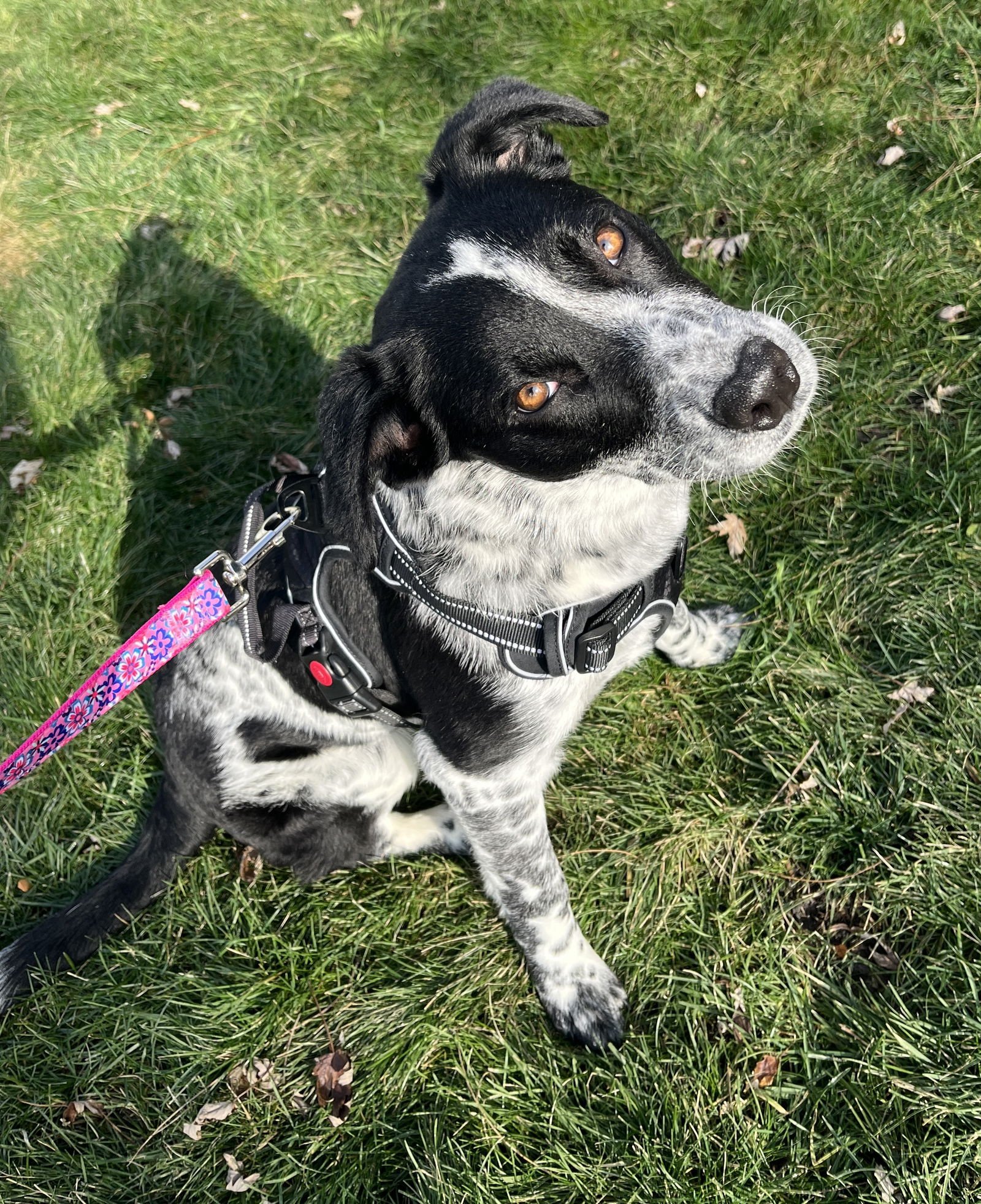 Arabella Skye - Photo 6