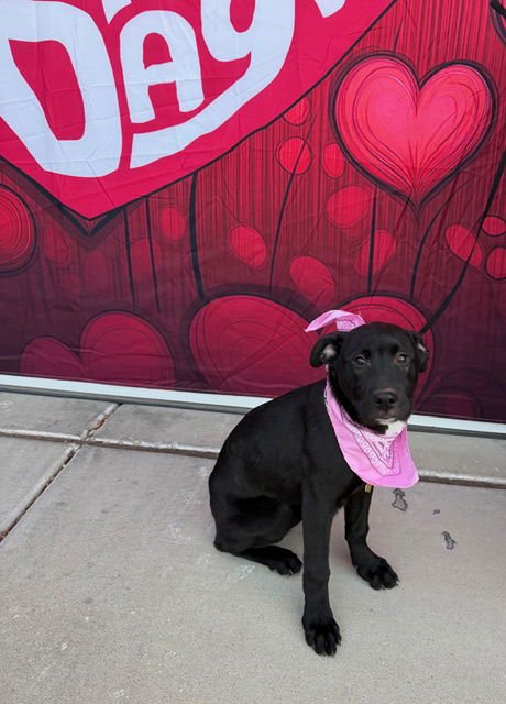 Te Queiro - Photo 10