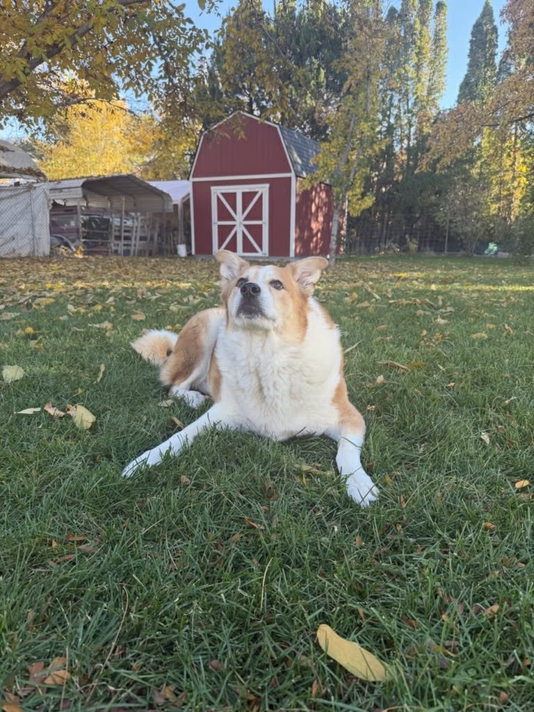 Flopsy Pants - Photo 11