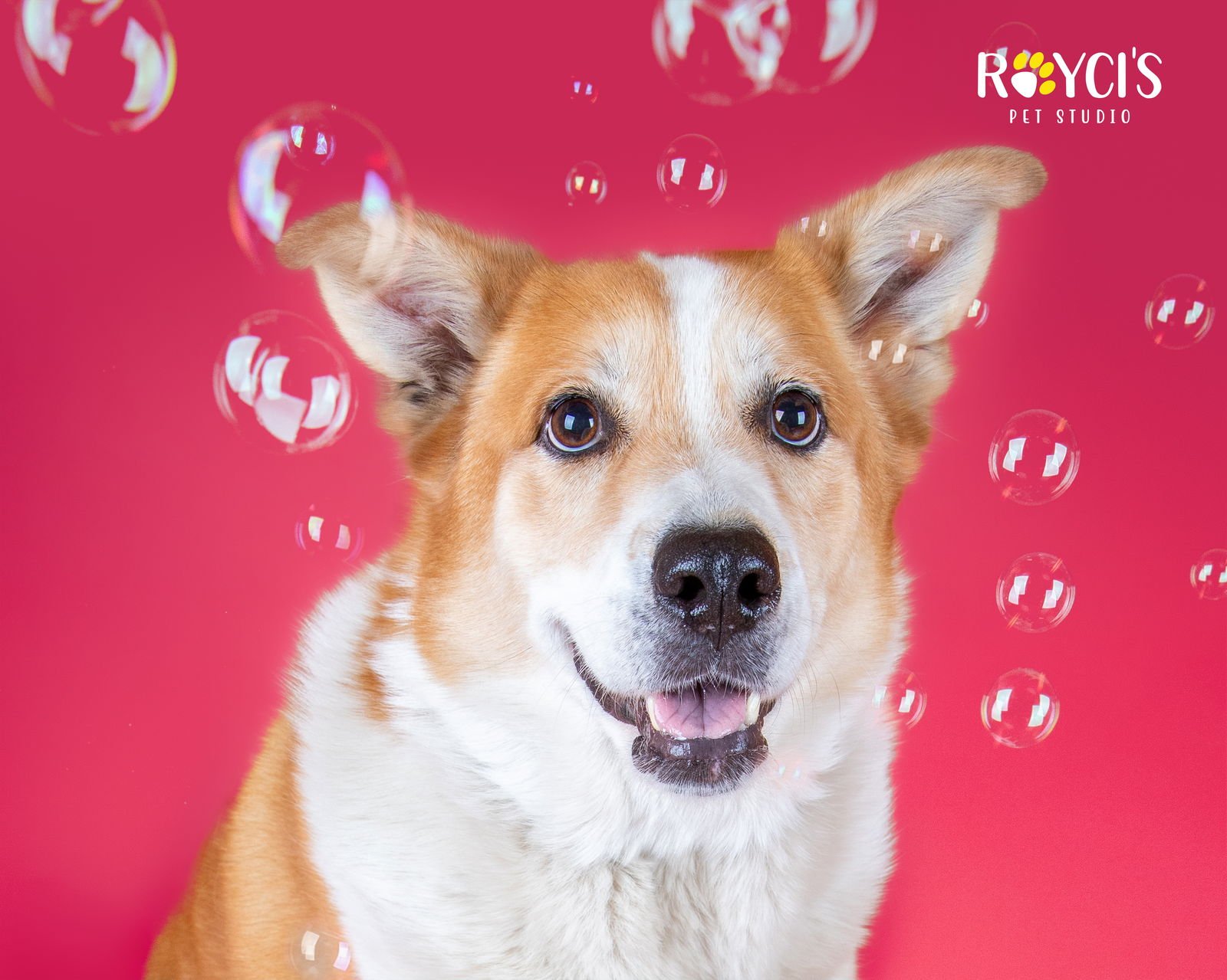 Flopsy Pants - Photo 12