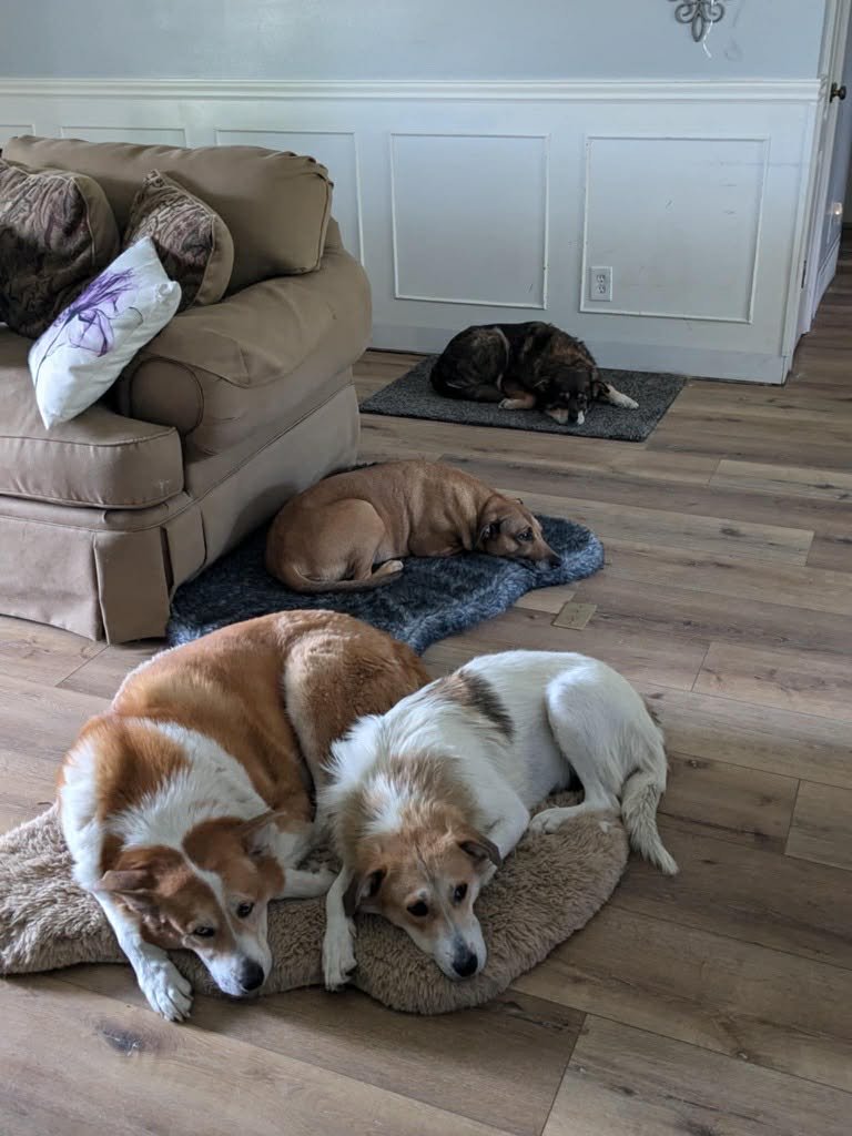 Flopsy Pants - Photo 13