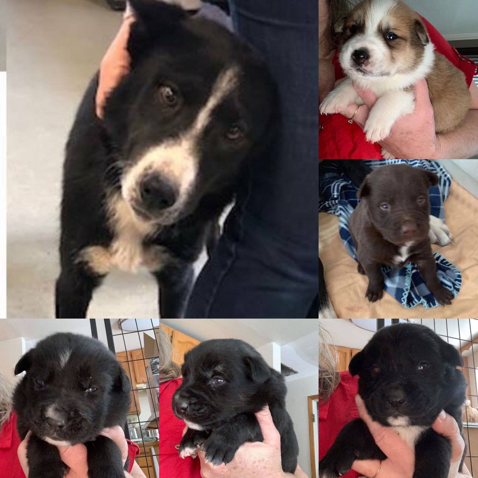 Flopsy Pants - Photo 14