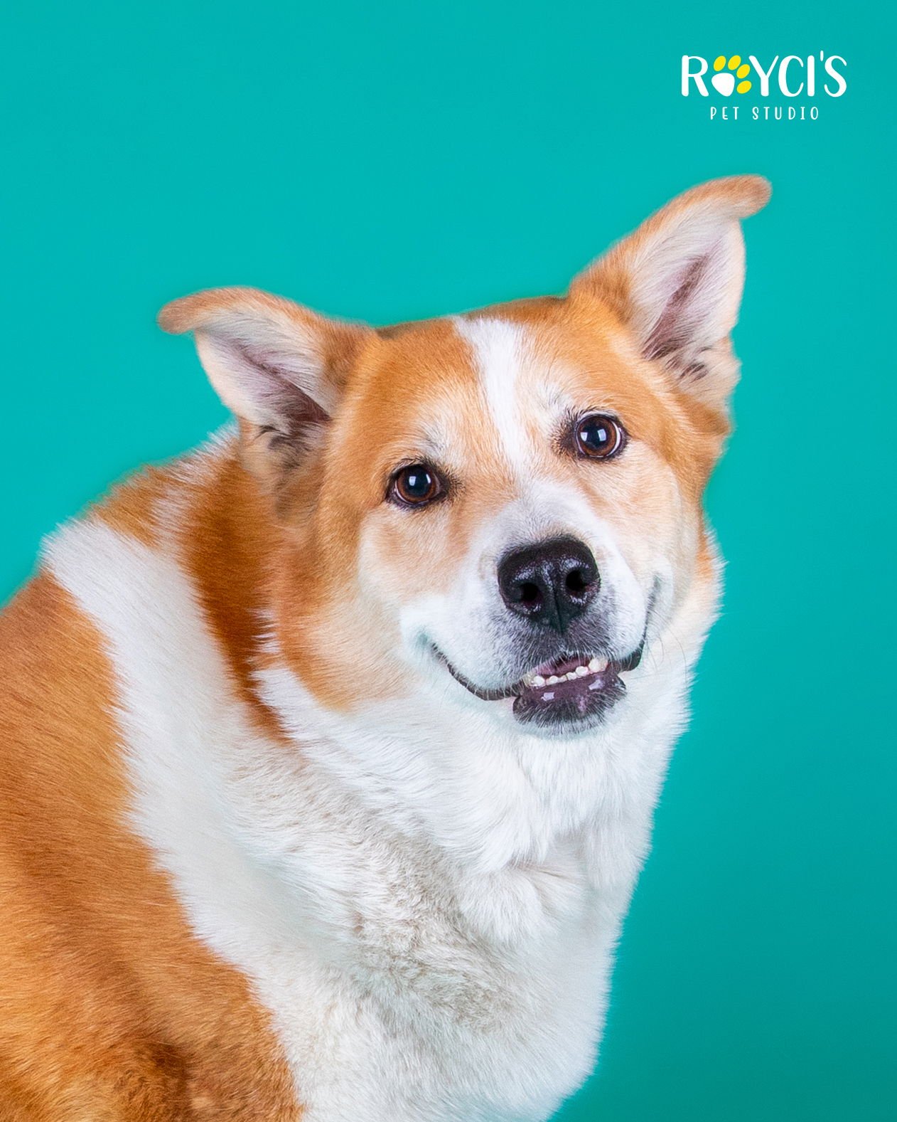 Flopsy Pants - Photo 4