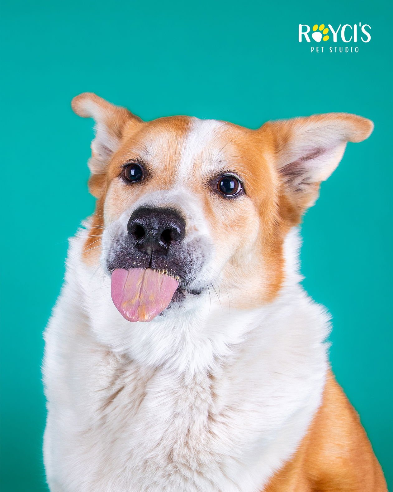 Flopsy Pants - Photo 5