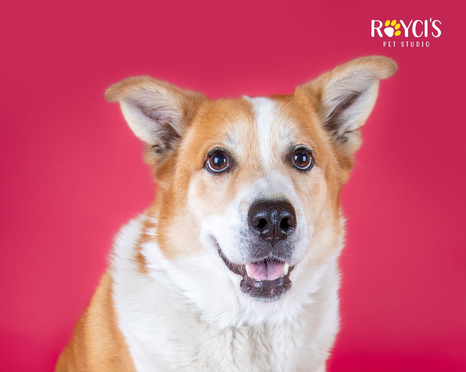 Flopsy Pants - Photo 6