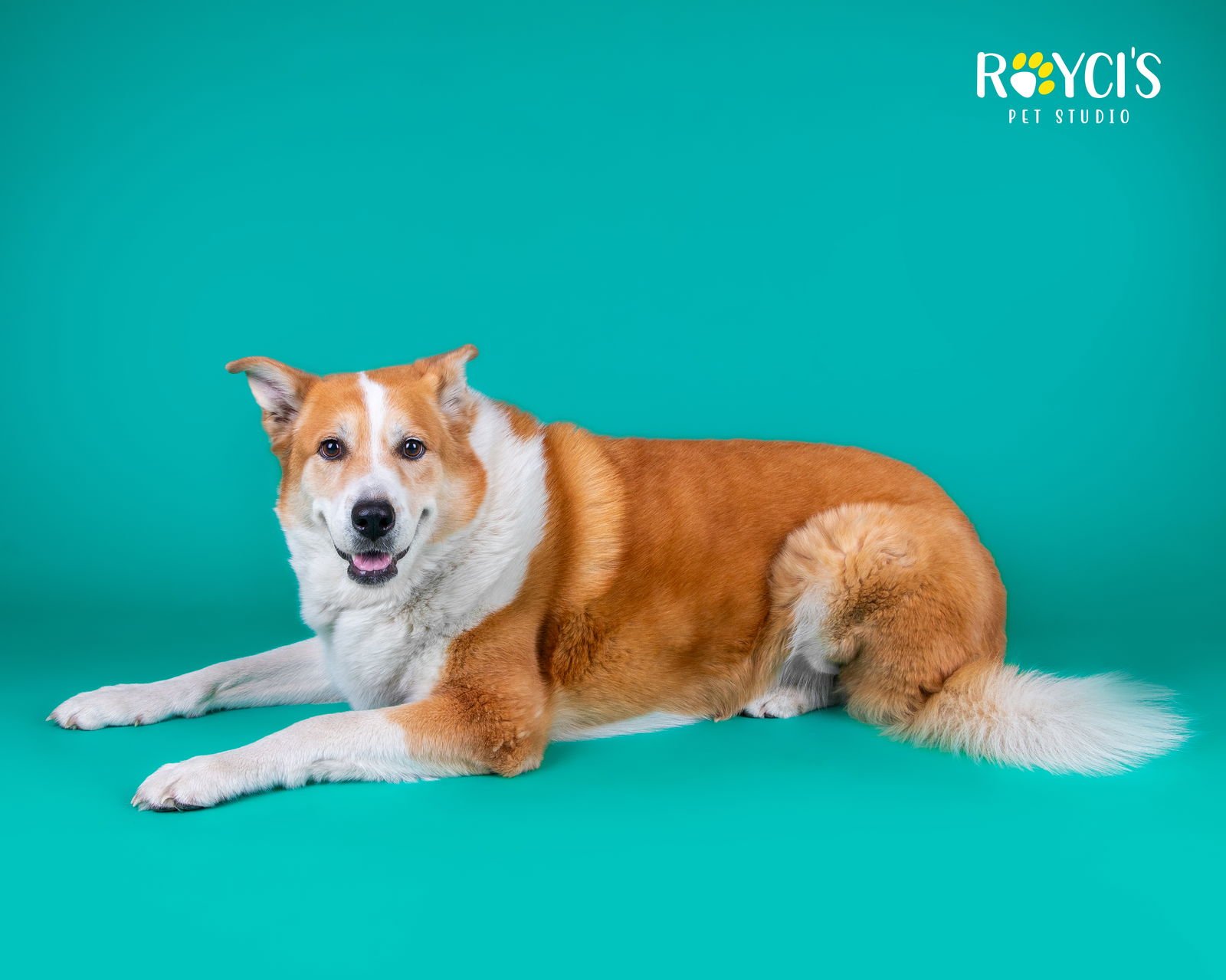 Flopsy Pants - Photo 8