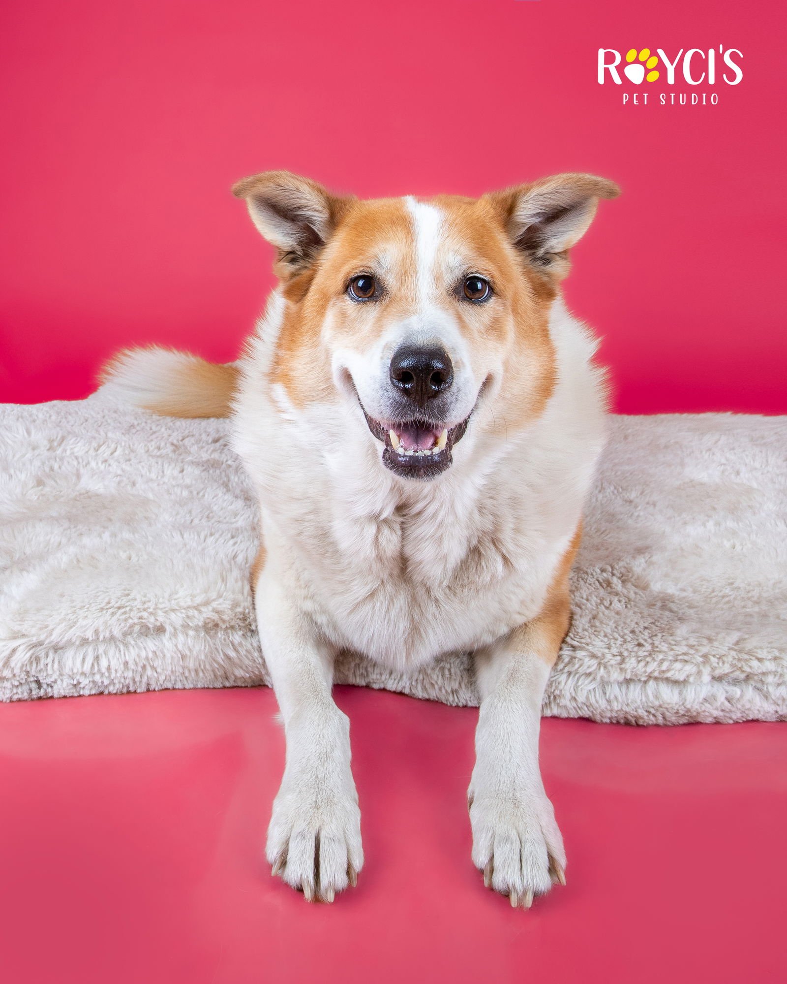 Flopsy Pants - Photo 10