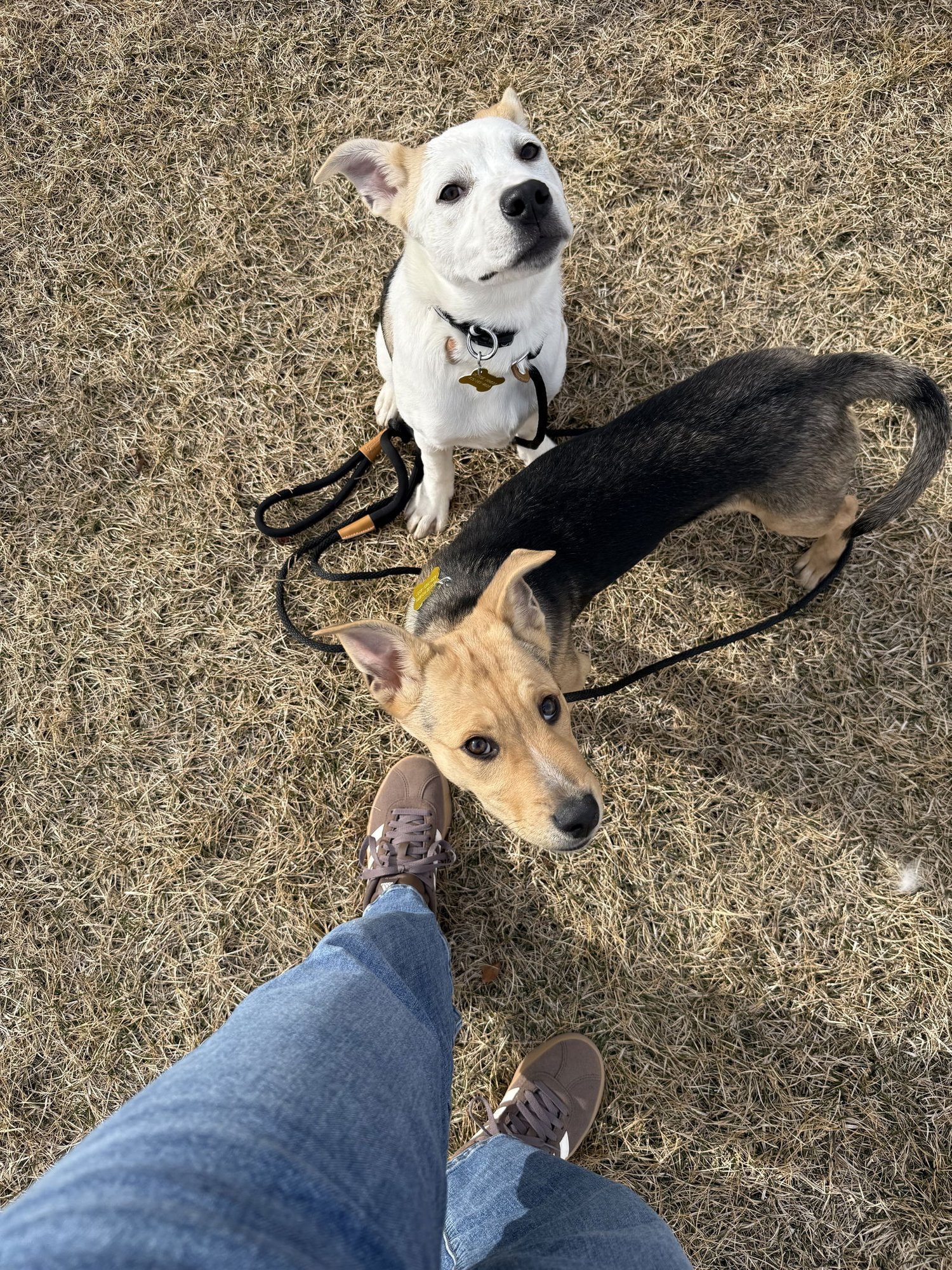 Cupcake Girl - Photo 5