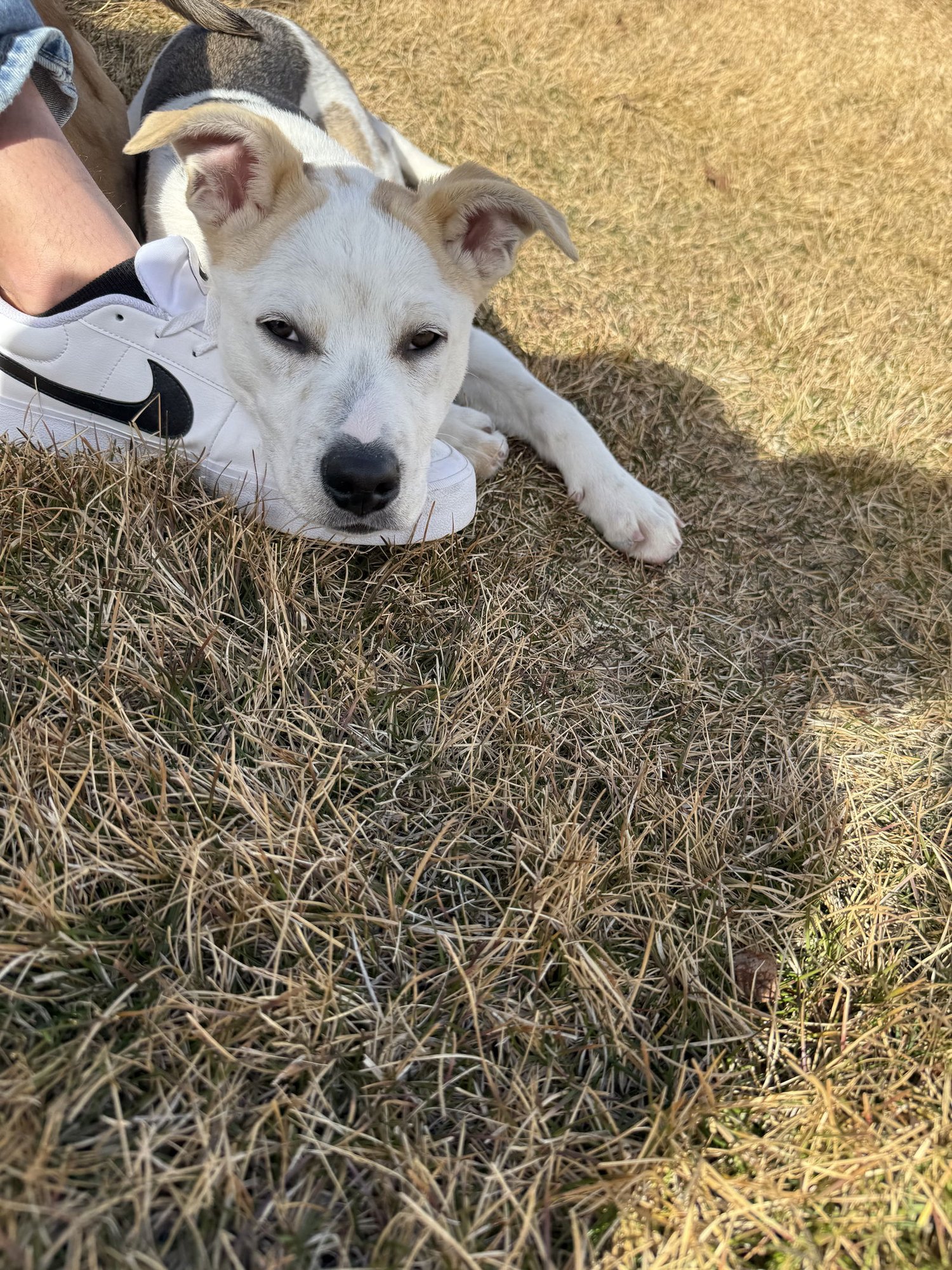 Cupcake Girl - Photo 6