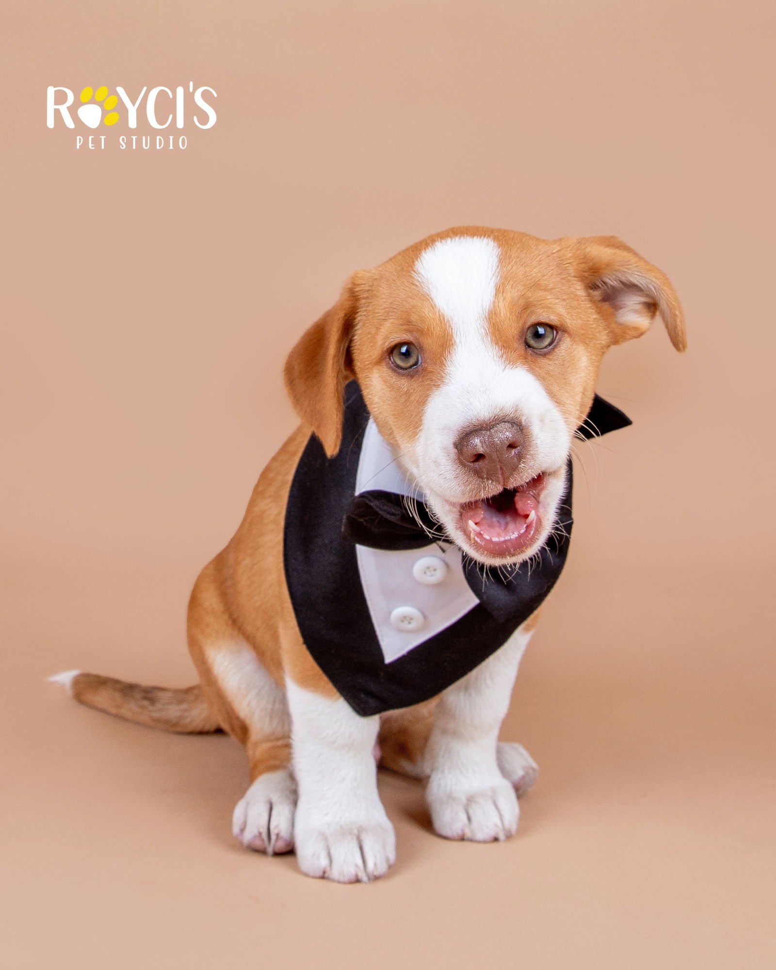 Dean Martin - Photo 3