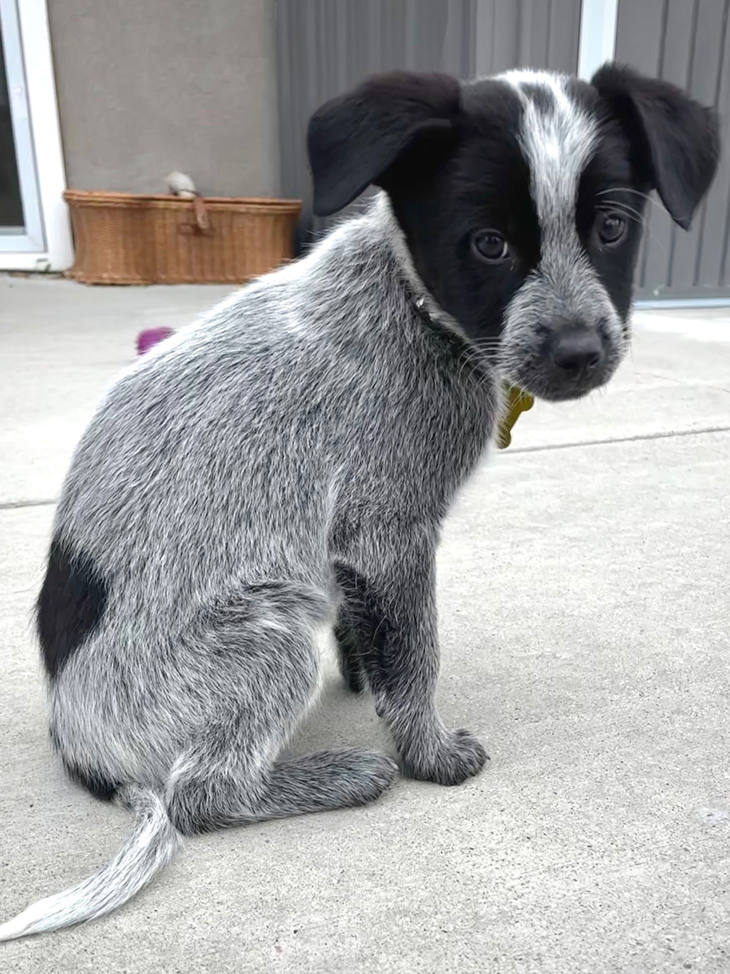 Duke Caboom - Photo 5