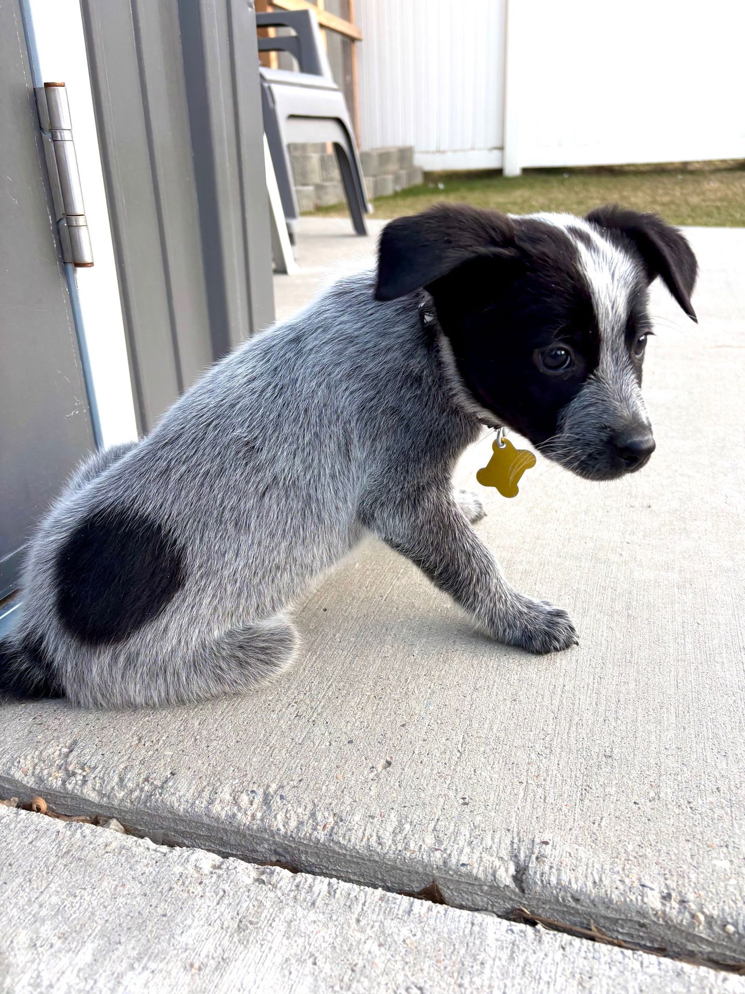 Duke Caboom - Photo 6