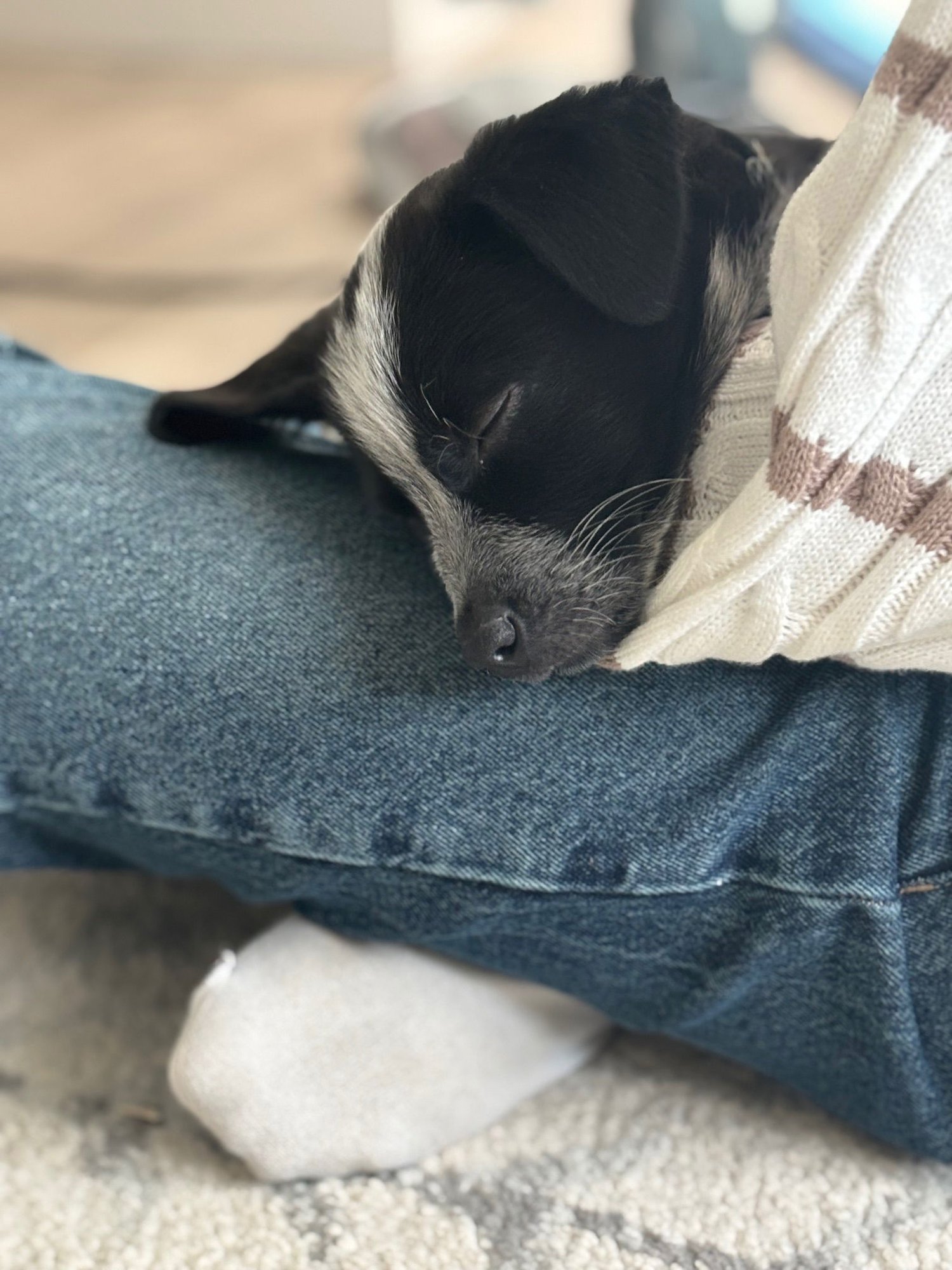 Duke Caboom - Photo 7