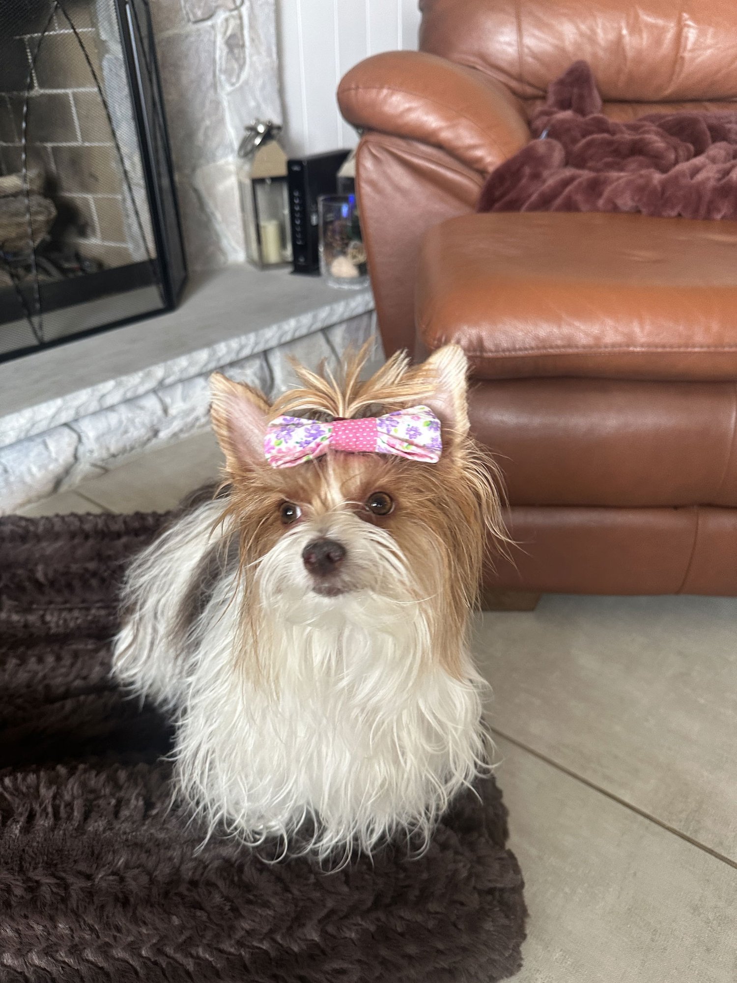 Little Miss Gigi - Photo 7