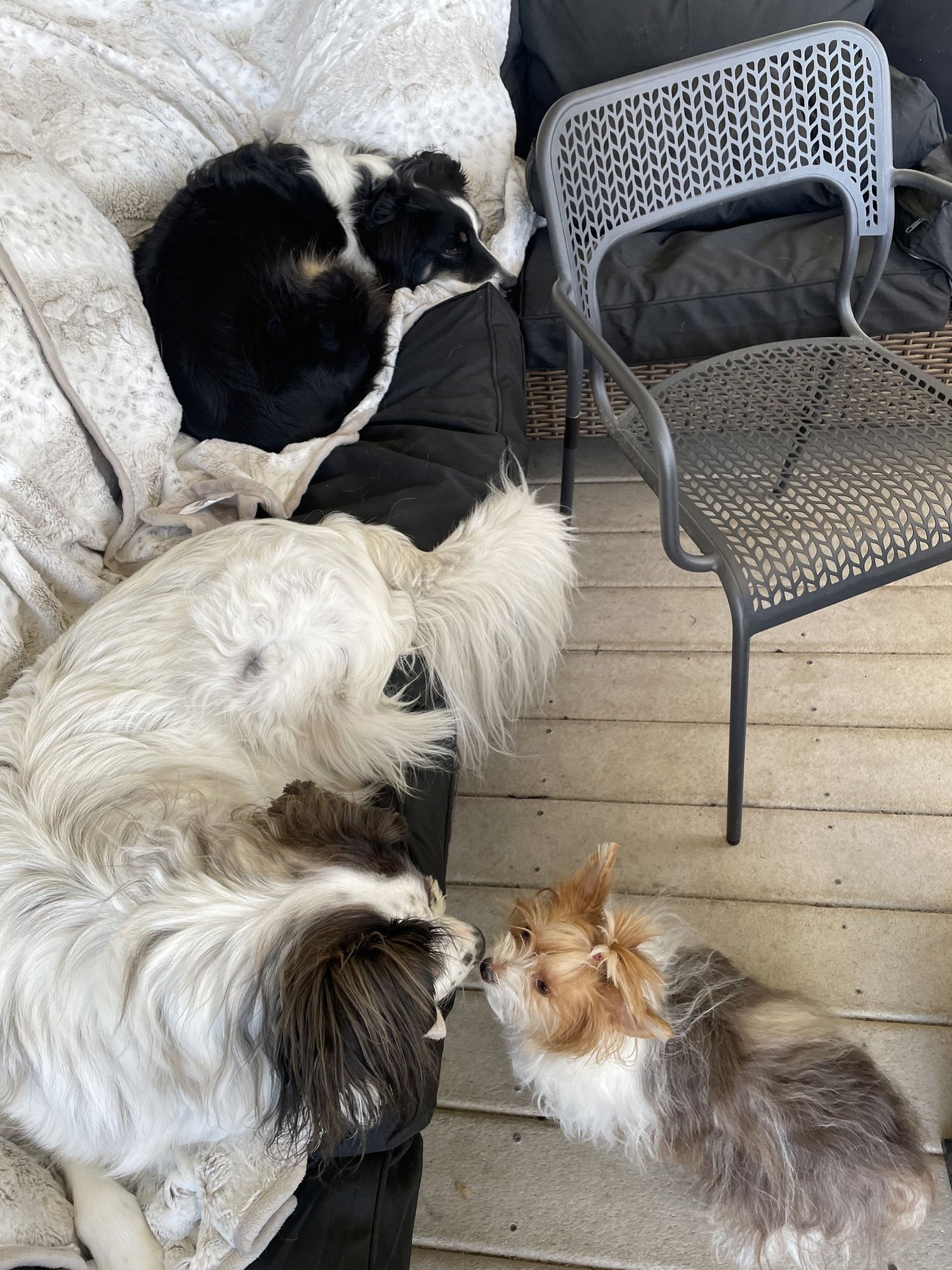 Little Miss Gigi - Photo 8