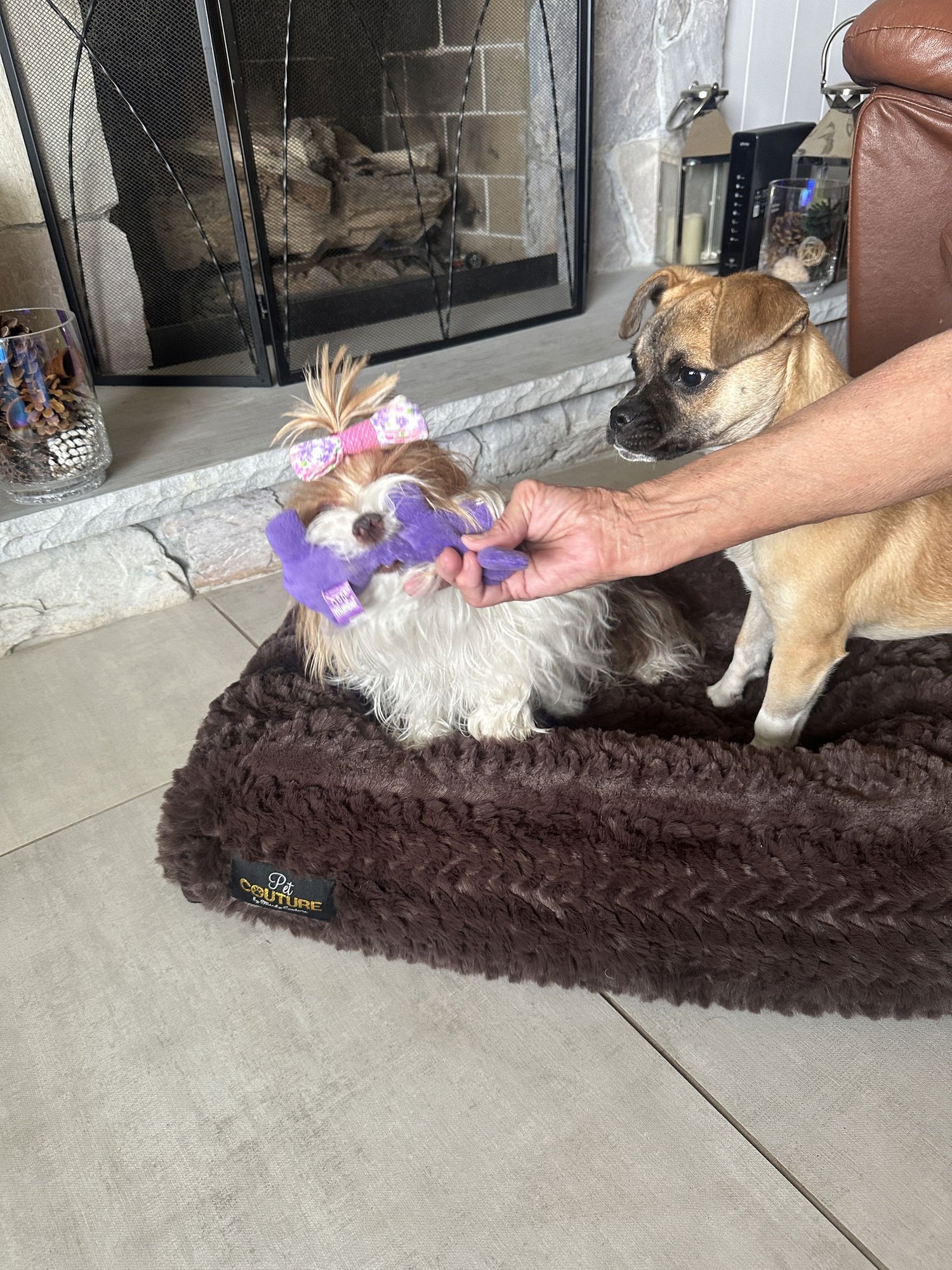 Little Miss Gigi - Photo 9