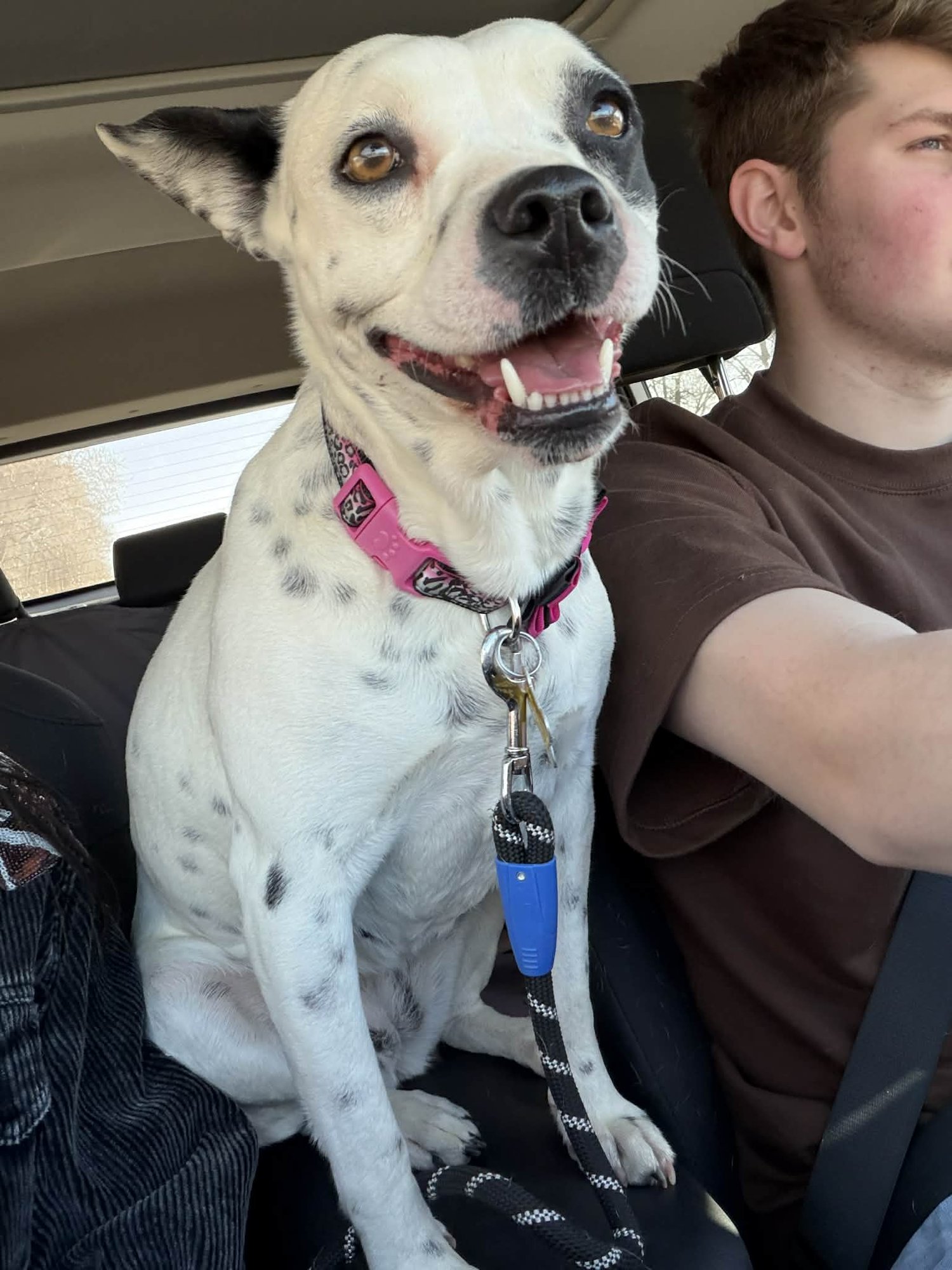 Oreo Deluxe - Photo 3