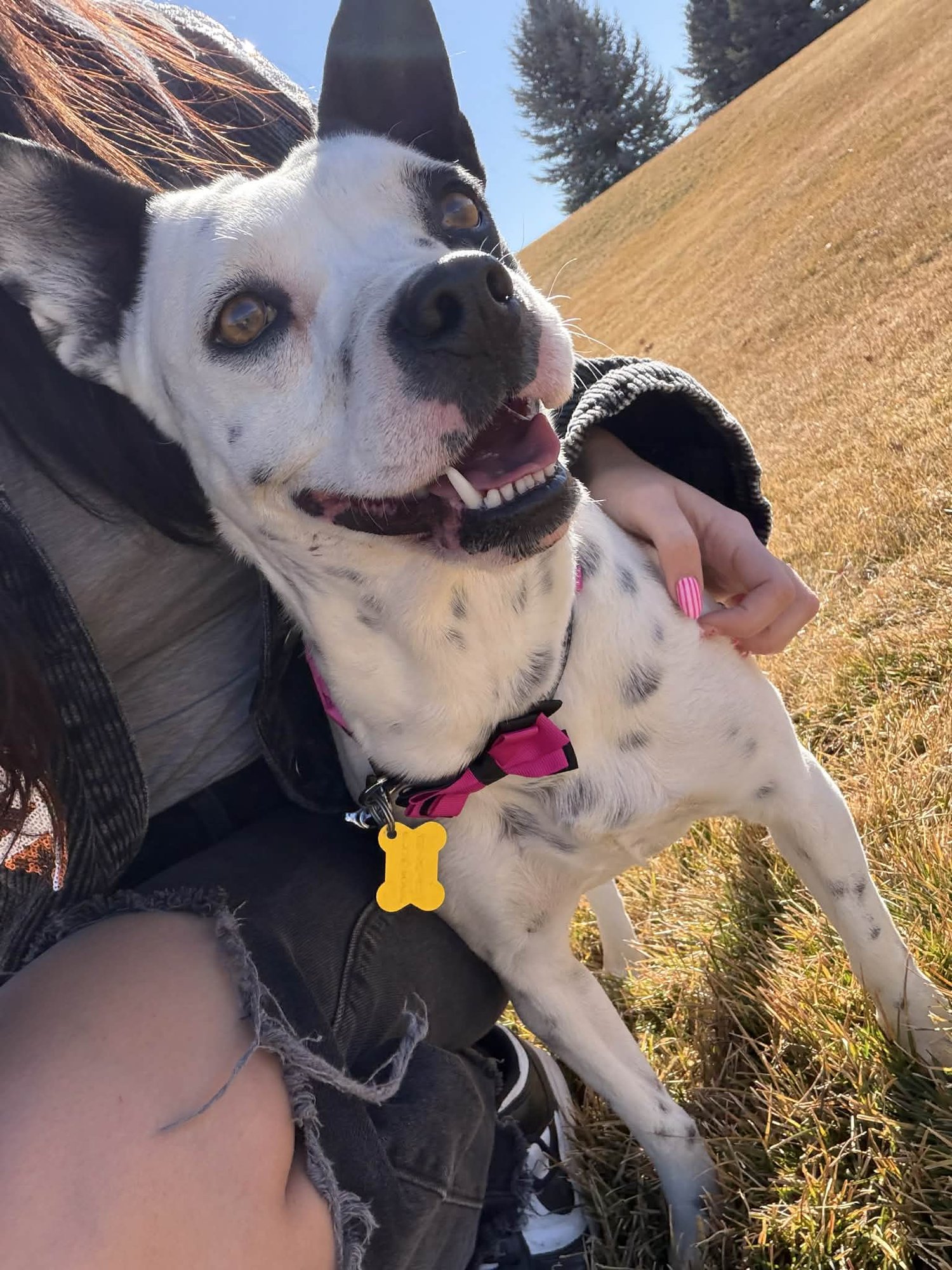 Oreo Deluxe - Photo 4