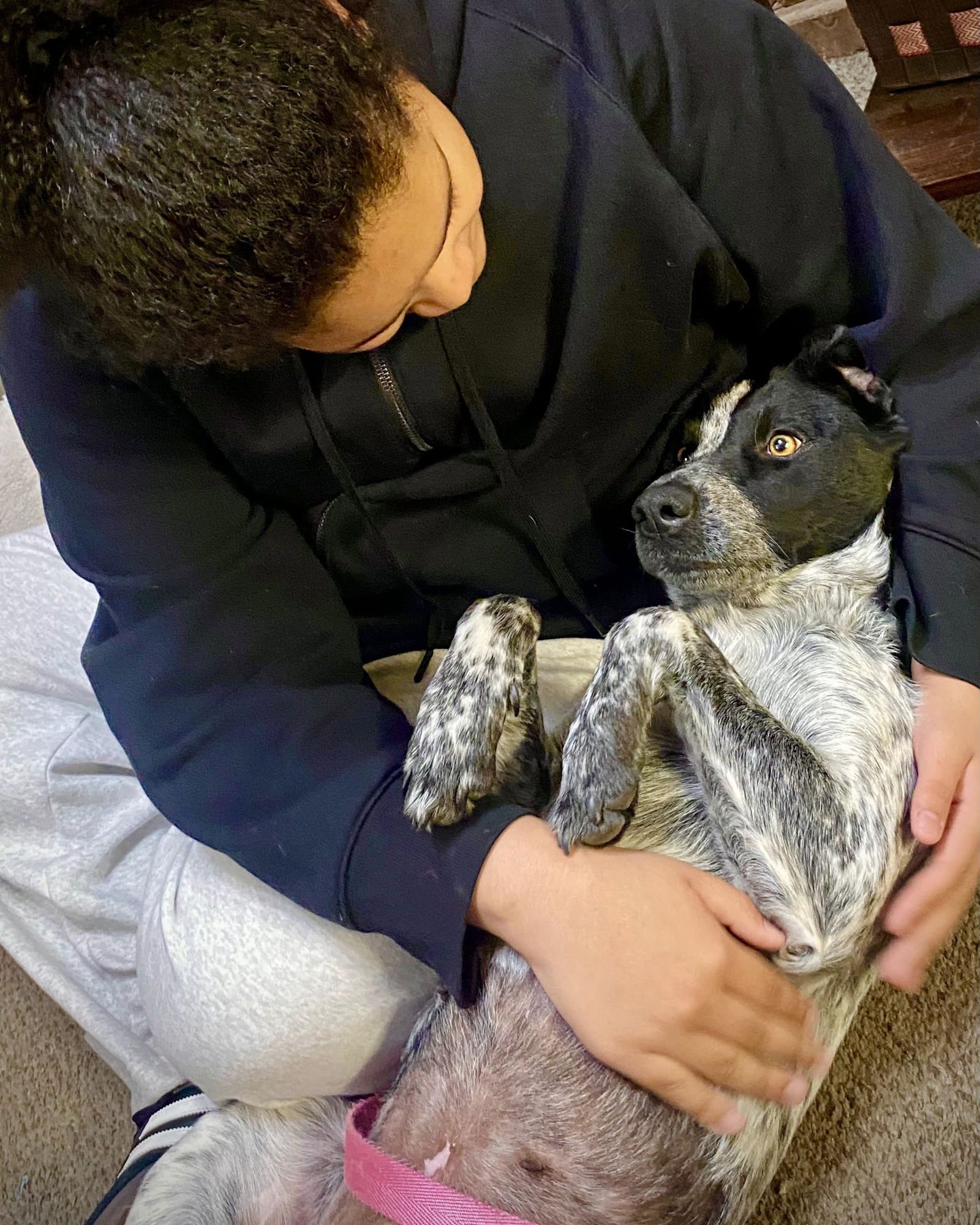 Violet Sky - Photo 3