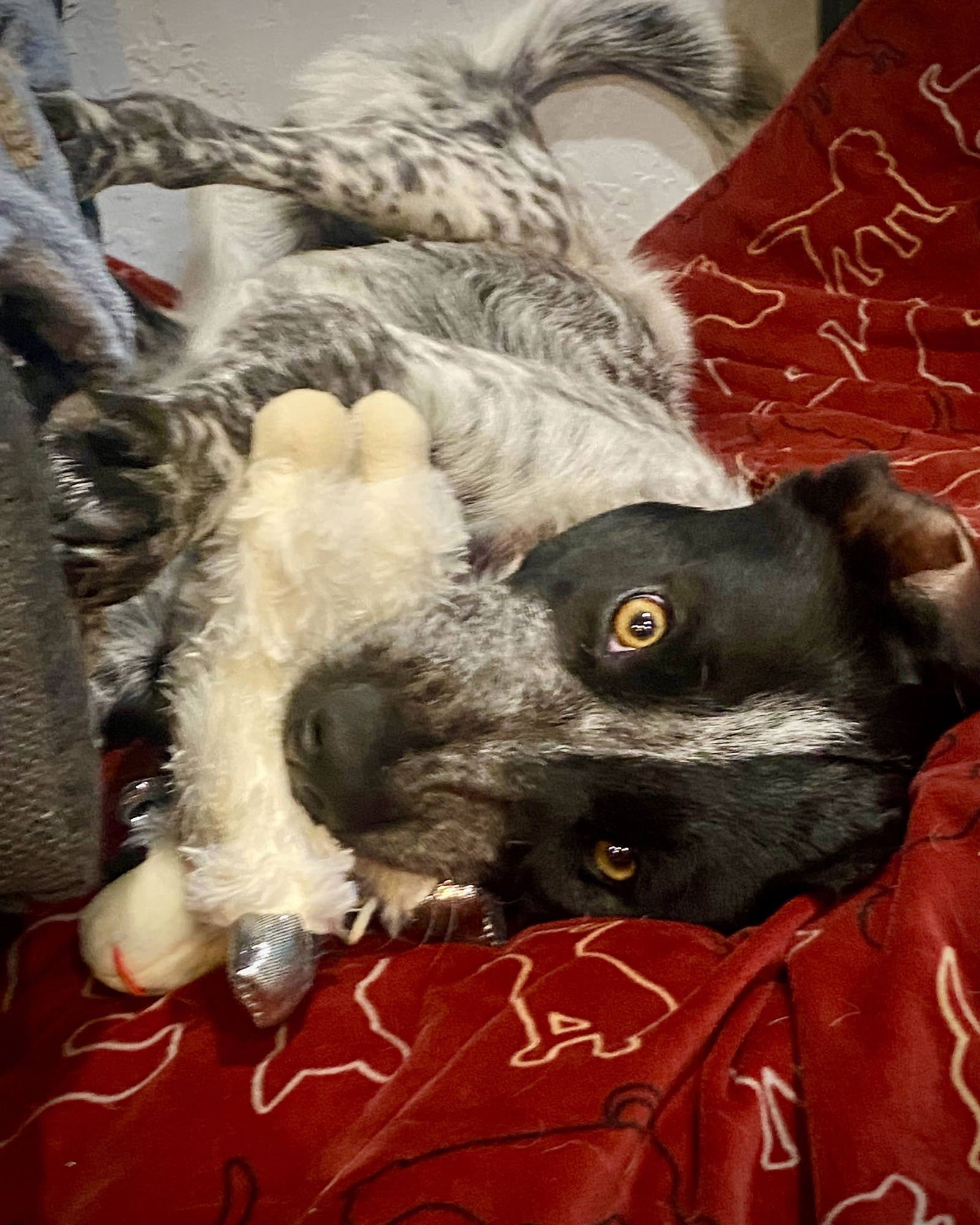 Violet Sky - Photo 5